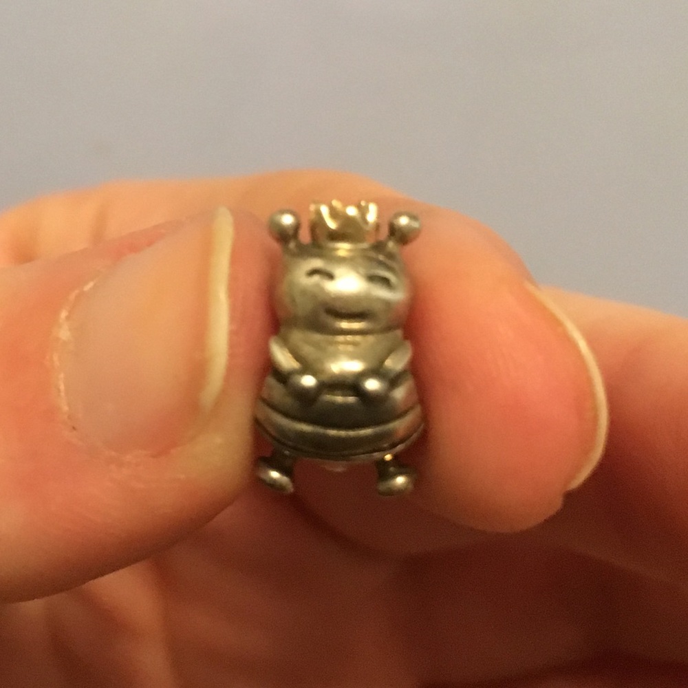 Pandora charm